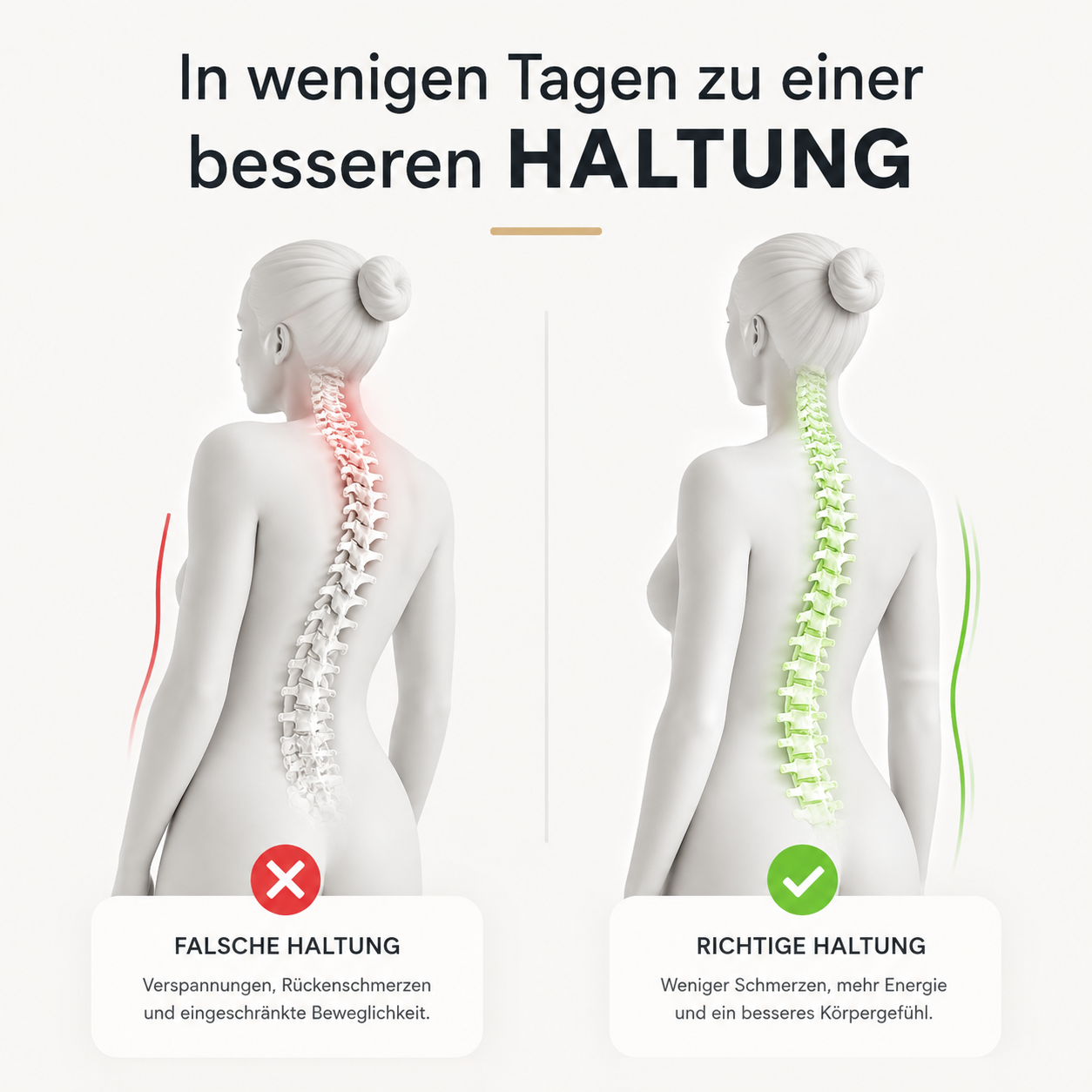 VevoBack™ – Rücken-Relaxer